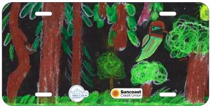 Julian Vizcarrondo